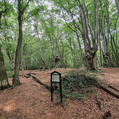 Loughton Camp